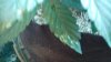 IMG_20110503_200545.jpg