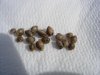 DSCN5340.jpg
