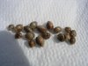 DSCN5335.jpg