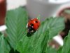 DSCN5549.jpg