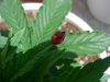 DSCN5542.jpg