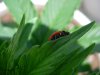 DSCN5541.jpg