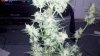 2011-12-20_12-29-04_23.jpg