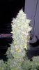 2011-12-20_11-38-59_942.jpg