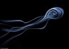 1409842825097_wps_16_SMOKE_1866_jpgMust_link_b.jpg