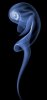 1409842978674_wps_23_SMOKE_1821_jpgMust_link_b.jpg