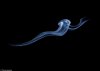 1409843437293_wps_38_SMOKE_1906_jpgMust_link_b.jpg