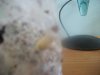 100_0880.jpg