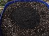 2013_0906seed0007.jpg
