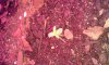 20140906_105015.jpg