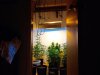20140907_002138.jpg