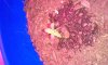 20140907_110054.jpg