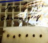 Oldster Sour Bubbly x Chemdogging Day 3.JPG
