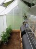 Oldster's Greenhouse 9-11.jpg