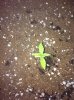 IMG-20140912-WA0000.jpg