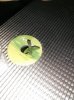 IMG_20140914_021250.jpg