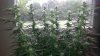 20140914_091532.jpg