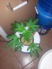 20140917_063609.jpg