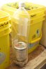 new grain tek fruiting 002.jpg new grain tek fruiting 002.jpg