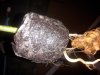 20140918_085041.jpg