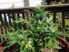 20140918_162728.jpg