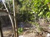2013_0919cinda0056.JPG