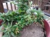 20140921_101835.jpg
