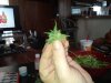 20140921_133306.jpg