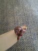 20140922_141737.jpg