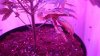 DSC01208.jpg