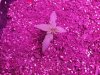 2013_09232pic0005.JPG
