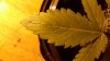 20140923_182753.jpg