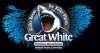 greatwhite.jpg