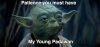 yoda.jpg