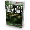 grow bible.jpg