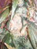 20140929_202850.jpg