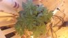 20140930_175812.jpg
