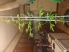 20140930_211451.jpg