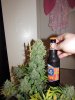 IMG_0162.jpg