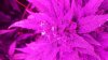 20140928_174346.jpg