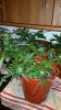 20141004_070304.jpg