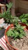 20141004_070047.jpg