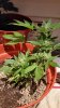 20141004_070135.jpg