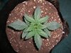CHOCOLOPE_10-3-14.jpg