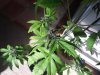 20141005_094032.jpg