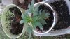20141005_164343.jpg