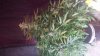 20141005_103032.jpg