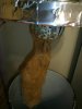 ts_roots_day60.jpg ts_roots_day60.jpg