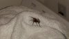 20141003_093319.jpg 20141003_093319.jpg