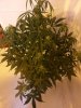 20141007_204207_.jpg